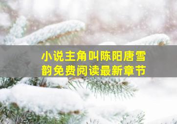 小说主角叫陈阳唐雪韵免费阅读最新章节