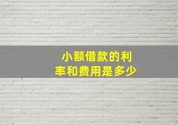 小额借款的利率和费用是多少