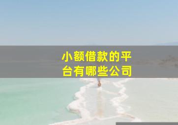 小额借款的平台有哪些公司