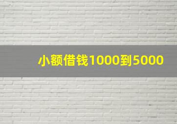 小额借钱1000到5000