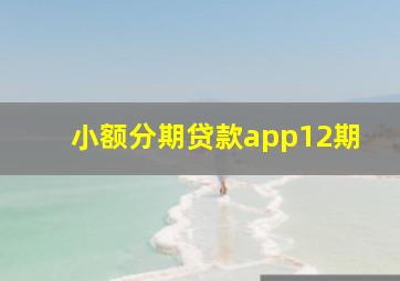 小额分期贷款app12期