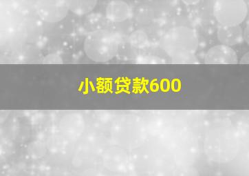 小额贷款600