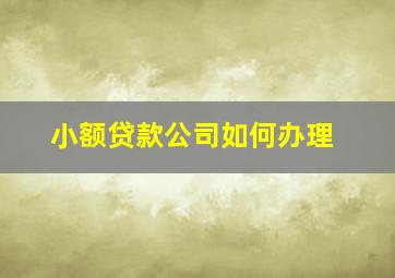 小额贷款公司如何办理