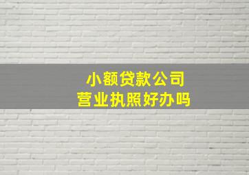 小额贷款公司营业执照好办吗