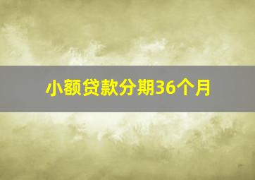 小额贷款分期36个月