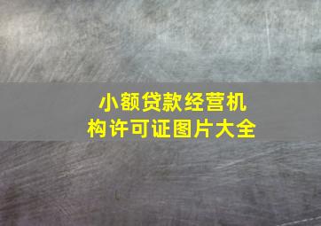 小额贷款经营机构许可证图片大全