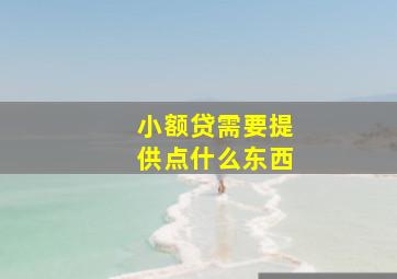 小额贷需要提供点什么东西