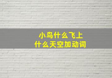 小鸟什么飞上什么天空加动词