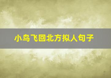 小鸟飞回北方拟人句子