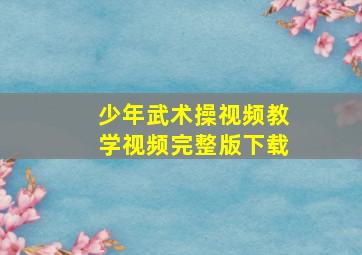 少年武术操视频教学视频完整版下载