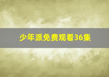 少年派免费观看36集