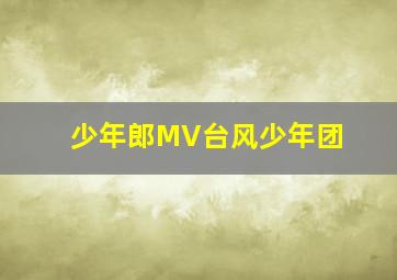 少年郎MV台风少年团