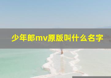 少年郎mv原版叫什么名字