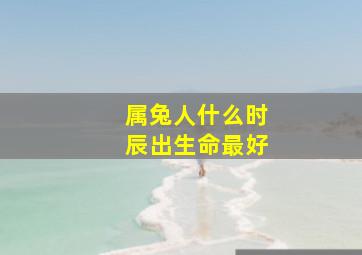 属兔人什么时辰出生命最好