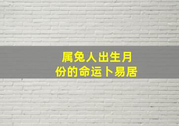 属兔人出生月份的命运卜易居