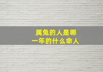 属兔的人是哪一年的什么命人