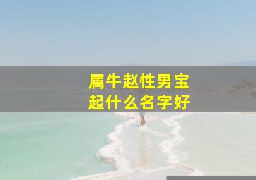 属牛赵性男宝起什么名字好