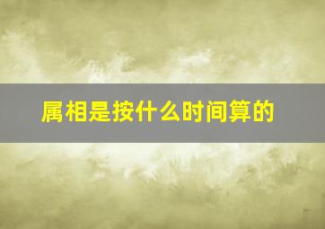 属相是按什么时间算的