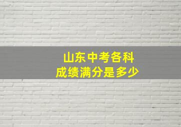 山东中考各科成绩满分是多少