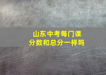 山东中考每门课分数和总分一样吗