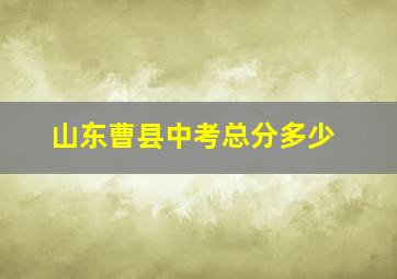 山东曹县中考总分多少