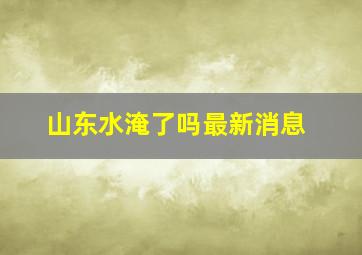 山东水淹了吗最新消息