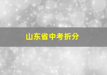 山东省中考折分