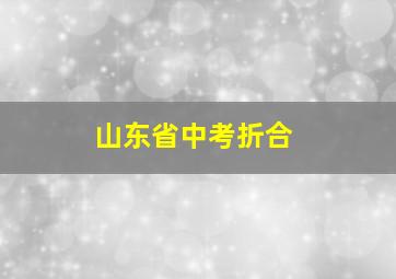 山东省中考折合