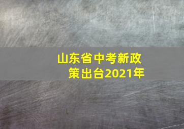 山东省中考新政策出台2021年