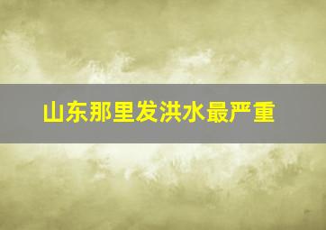 山东那里发洪水最严重