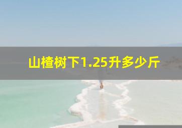 山楂树下1.25升多少斤