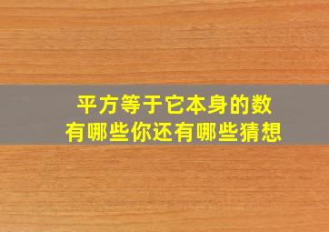 平方等于它本身的数有哪些你还有哪些猜想