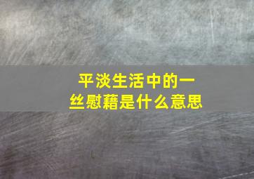 平淡生活中的一丝慰藉是什么意思