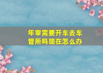 年审需要开车去车管所吗现在怎么办