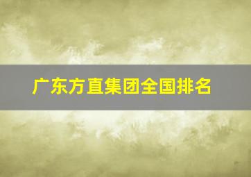 广东方直集团全国排名