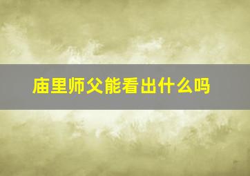 庙里师父能看出什么吗