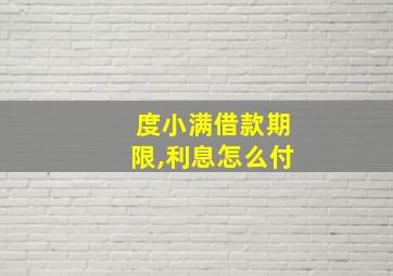 度小满借款期限,利息怎么付