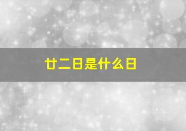 廿二日是什么日