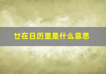 廿在日历里是什么意思