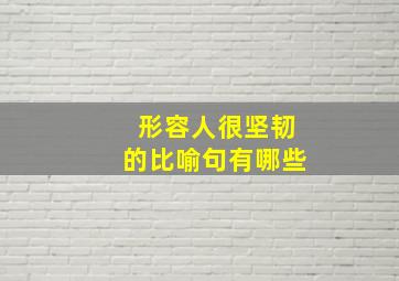 形容人很坚韧的比喻句有哪些