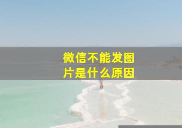 微信不能发图片是什么原因