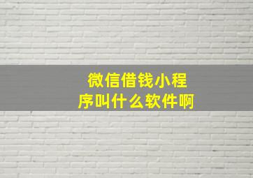 微信借钱小程序叫什么软件啊