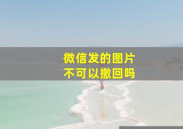 微信发的图片不可以撤回吗