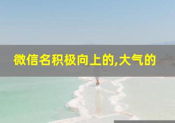 微信名积极向上的,大气的