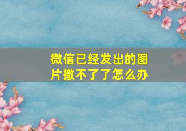 微信已经发出的图片撤不了了怎么办