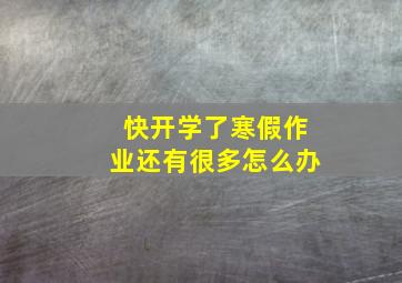 快开学了寒假作业还有很多怎么办