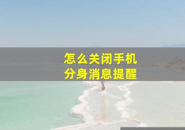 怎么关闭手机分身消息提醒