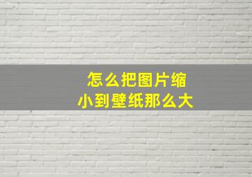 怎么把图片缩小到壁纸那么大