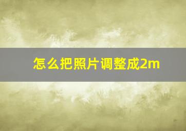 怎么把照片调整成2m