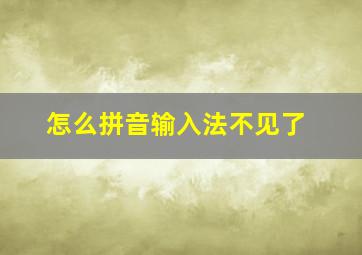 怎么拼音输入法不见了